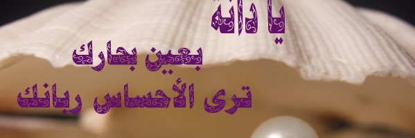 dana_zy's profile banner image