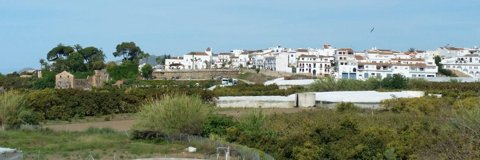 JavierdeMaro's profile banner image
