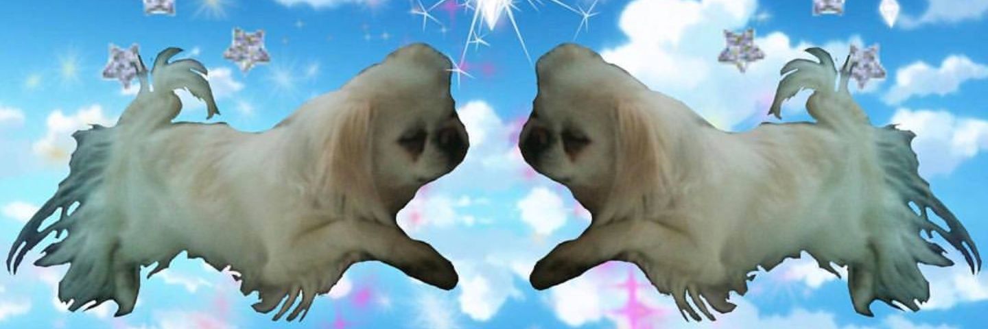 imkinasty's profile banner image