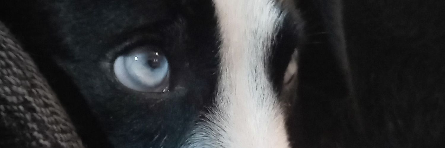ECoppero's profile banner image