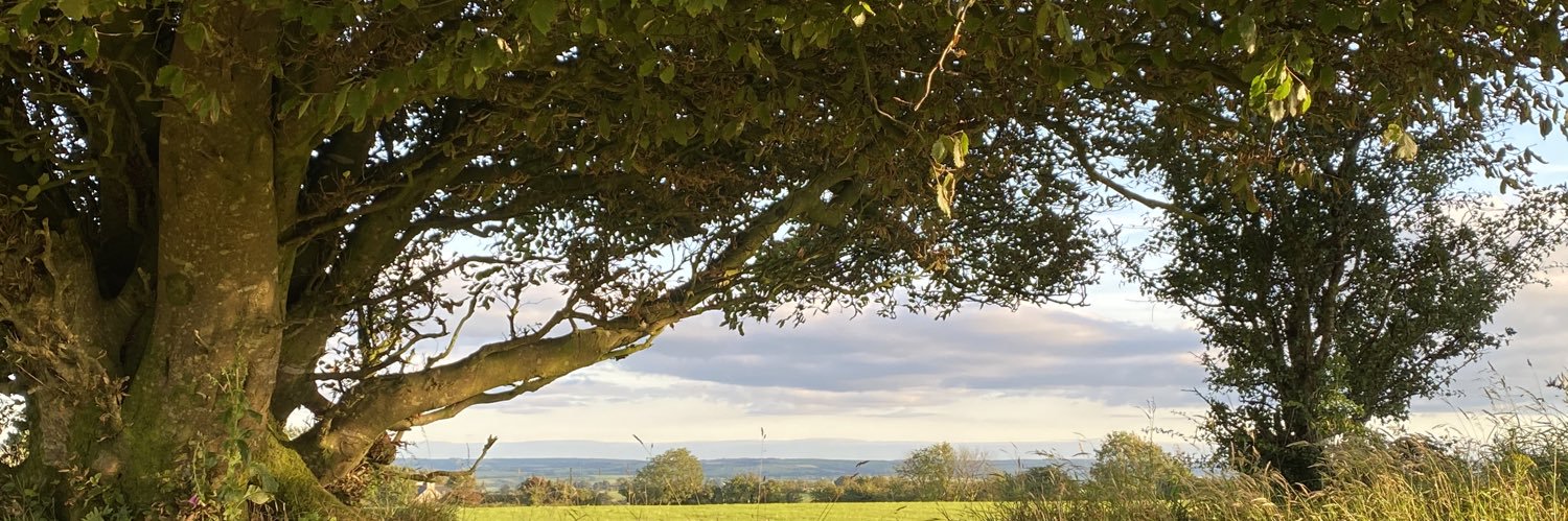 orlmurf's profile banner image