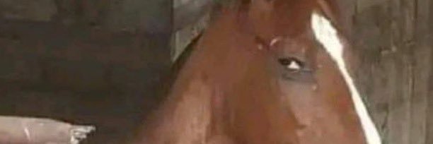 ok_vince's profile banner image