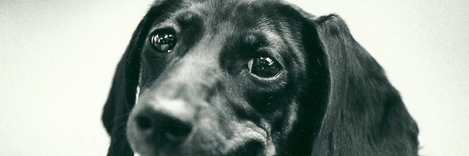 UMBDG's profile banner image