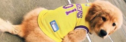 chimenguenchon2's profile banner image