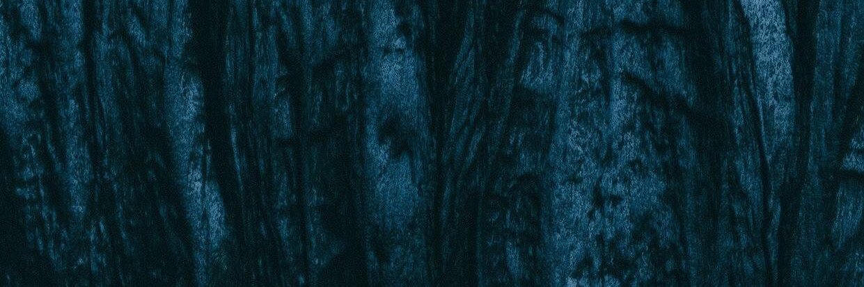 Lawwls's profile banner image
