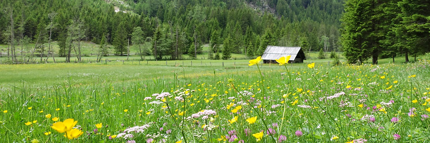 ChaletGove's profile banner image