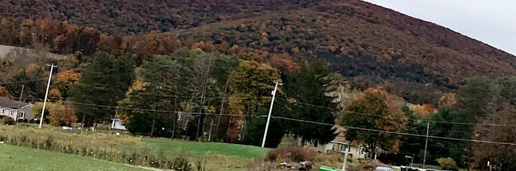 amanda_busler's profile banner image