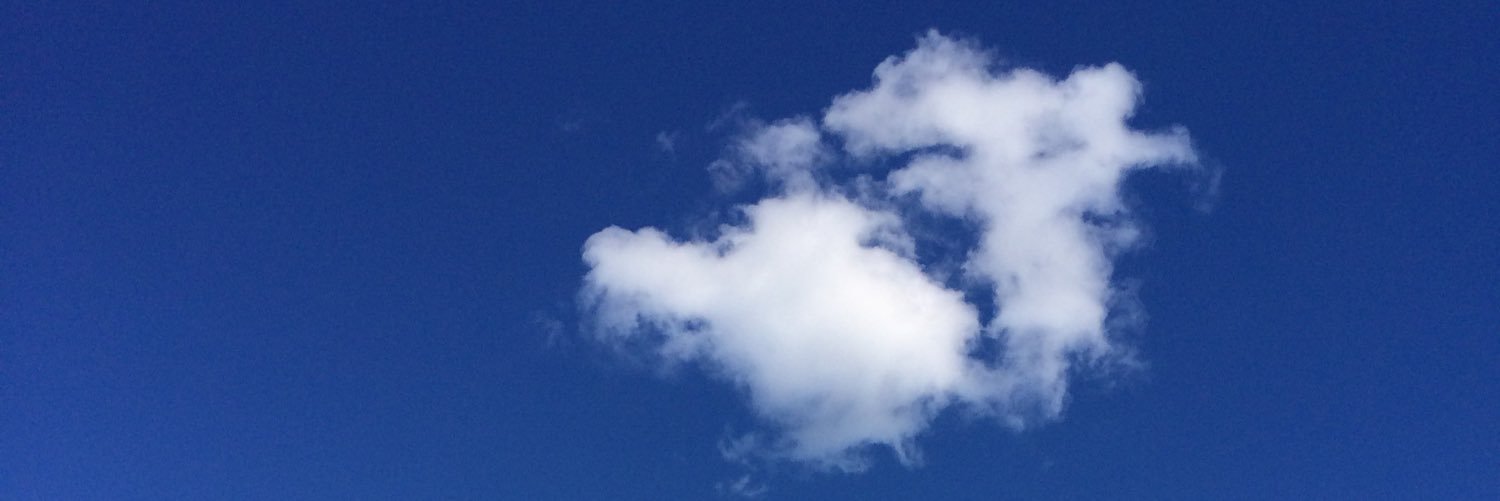 Eva L. Nygren banner