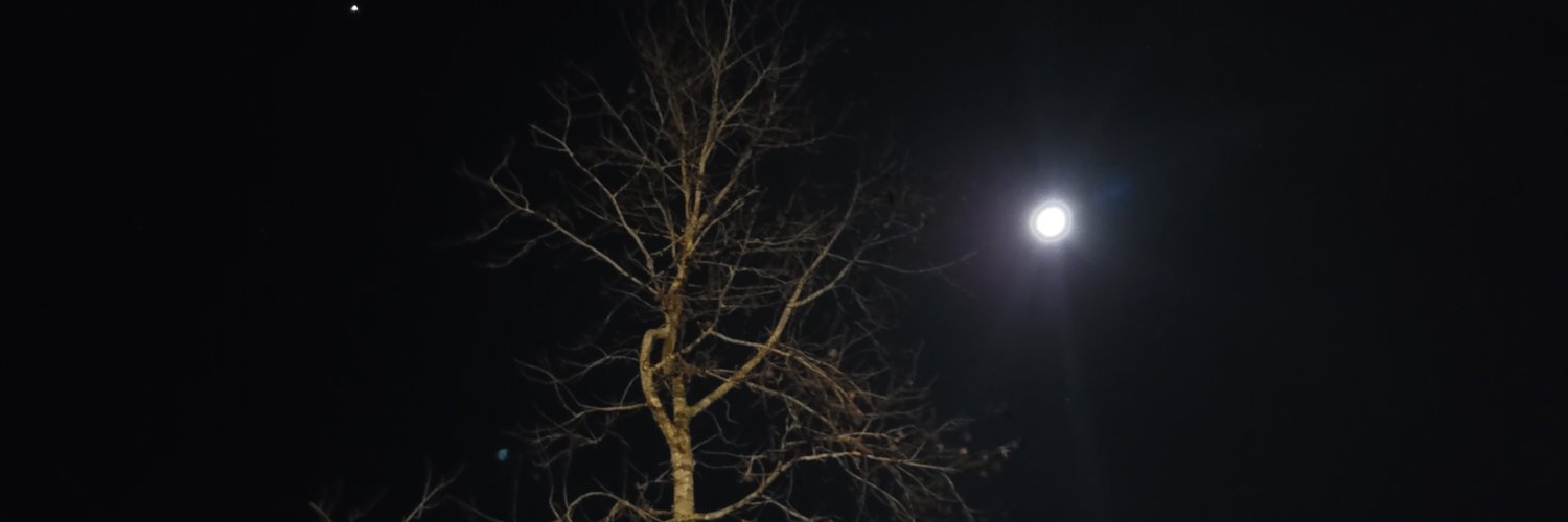 PhillipsAdria's profile banner image