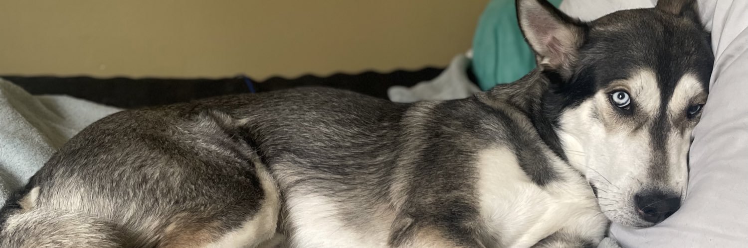 ThompsonNumba3's profile banner image