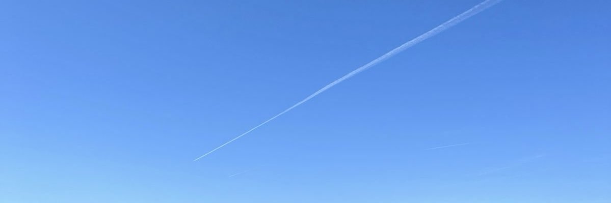 jlnelli's profile banner image