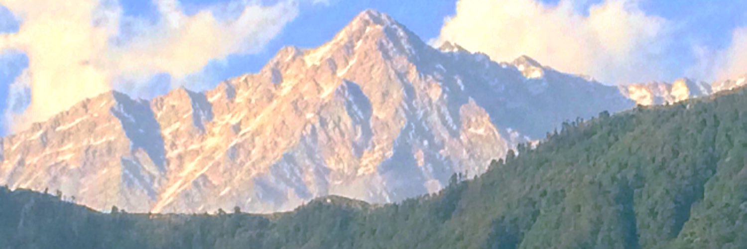 Siddhartha Ganguly  banner
