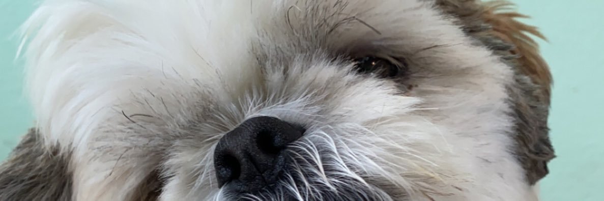kkhoopz's profile banner image