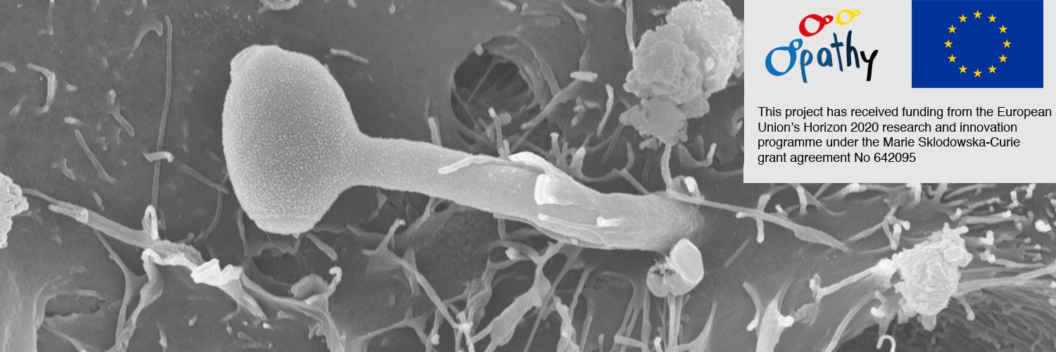 OpathyITN's profile banner image