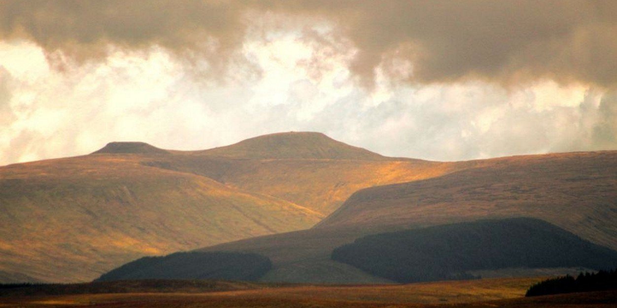 Marc Phillips banner