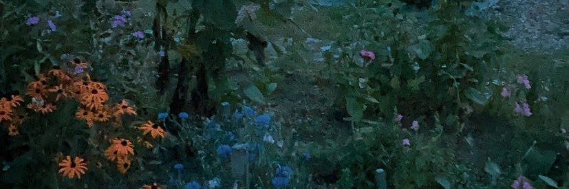 hannahisfabb's profile banner image