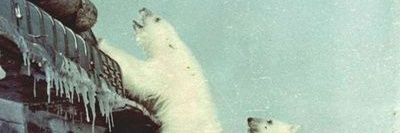 evanmcb's profile banner image