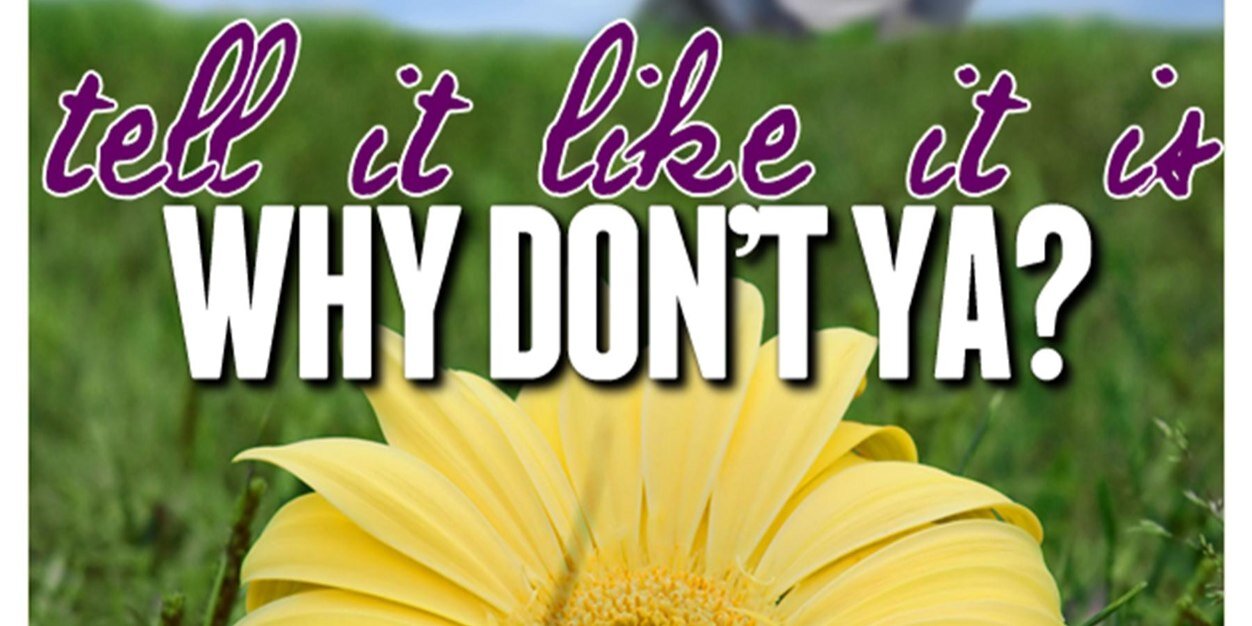 PrimrosePeart's profile banner image