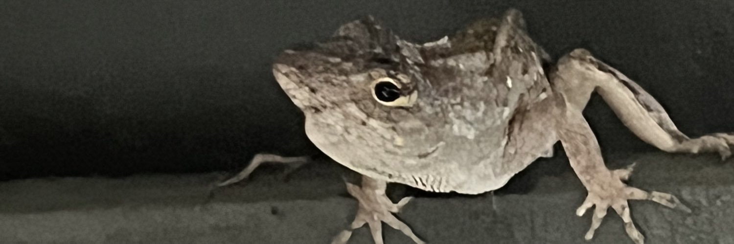 no_lorie's profile banner image