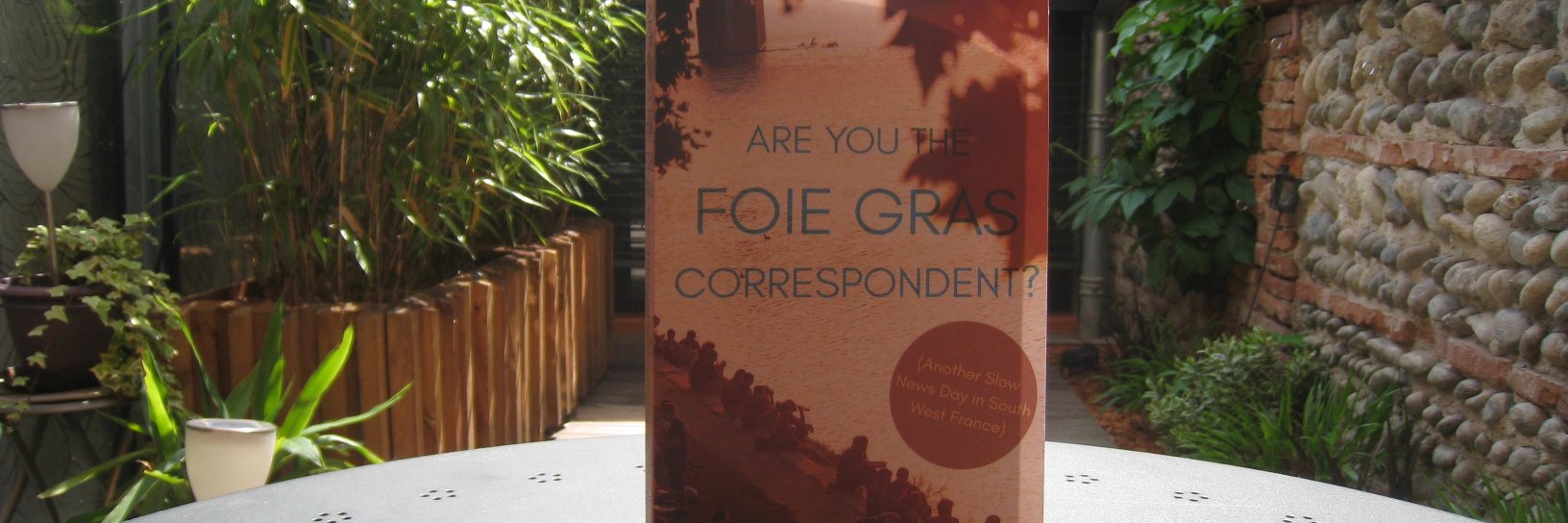 chris bockman banner