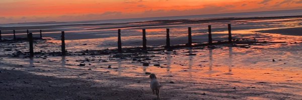SarahPBowers Profile Banner