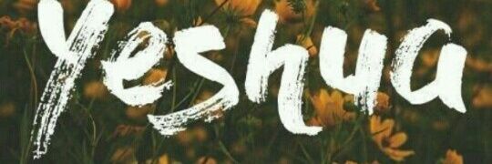 _ellana's profile banner image