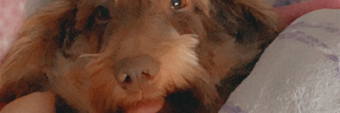em_nightingale_'s profile banner image