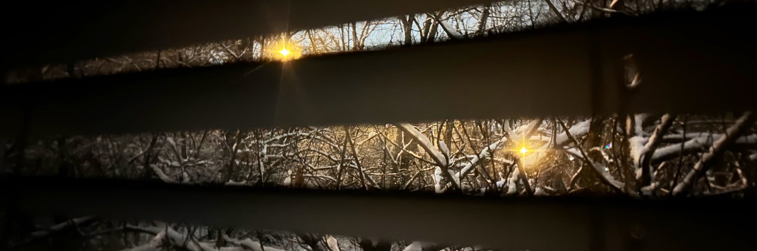 sydneysprings's profile banner image