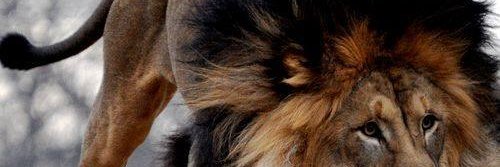 Talena2107's profile banner image