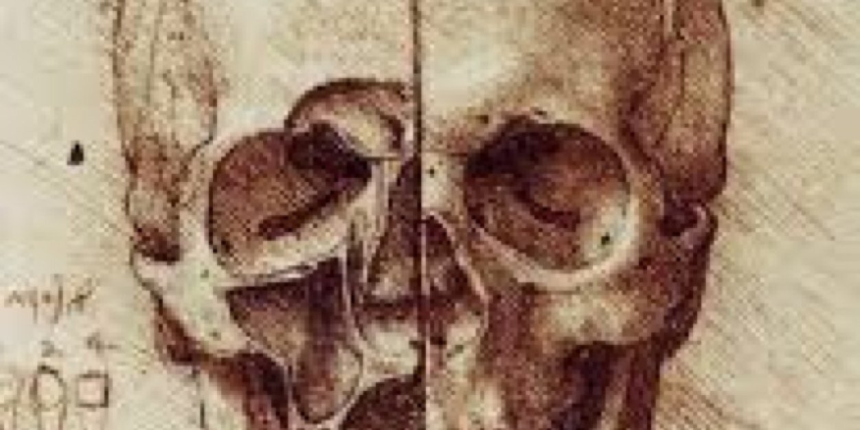 JanusKremer's profile banner image