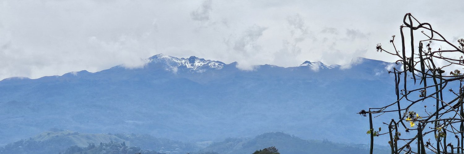 laucami1's profile banner image