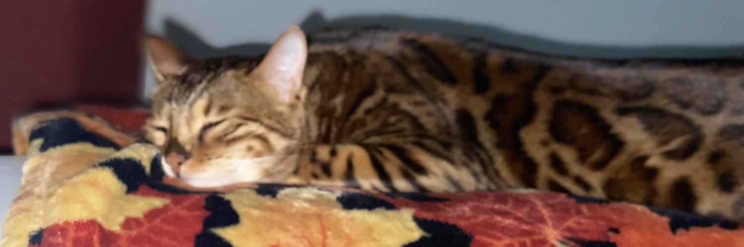 ErinDitzell's profile banner image