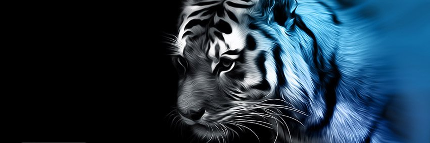 LuisPonchito's profile banner image