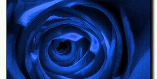 satoran0816's profile banner image