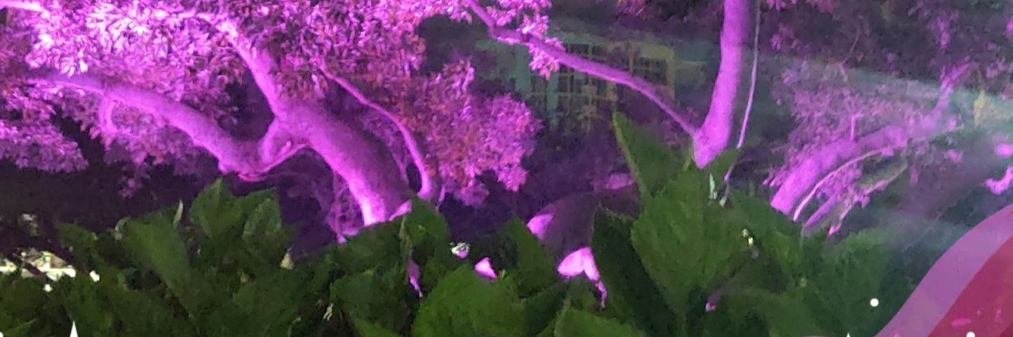 deeniedarlinn's profile banner image