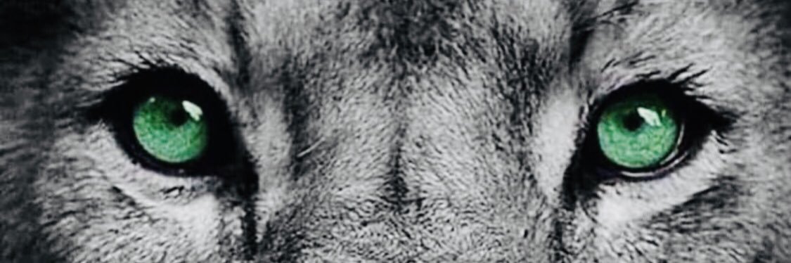 frazerhardy's profile banner image