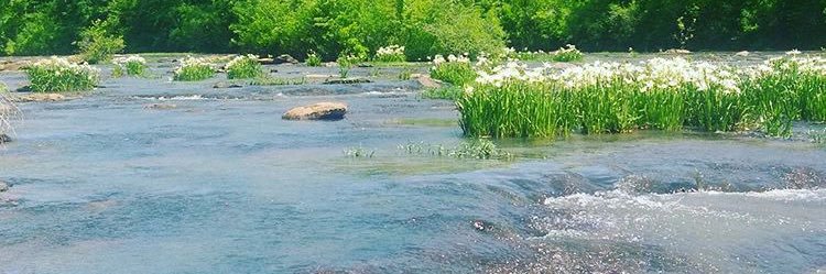 SEaquatics's profile banner image