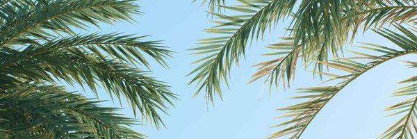 zumo999 Profile Banner