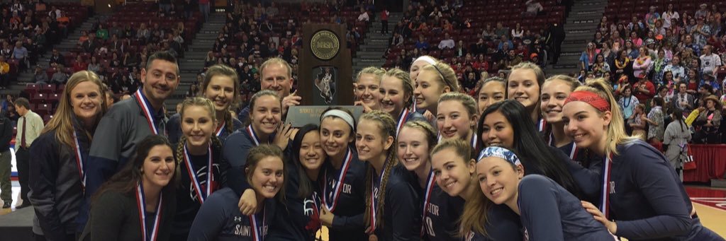 Saint Viator Girls Volleyball banner