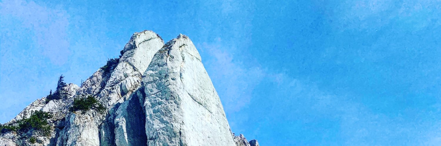 Fabian Q. Veit banner