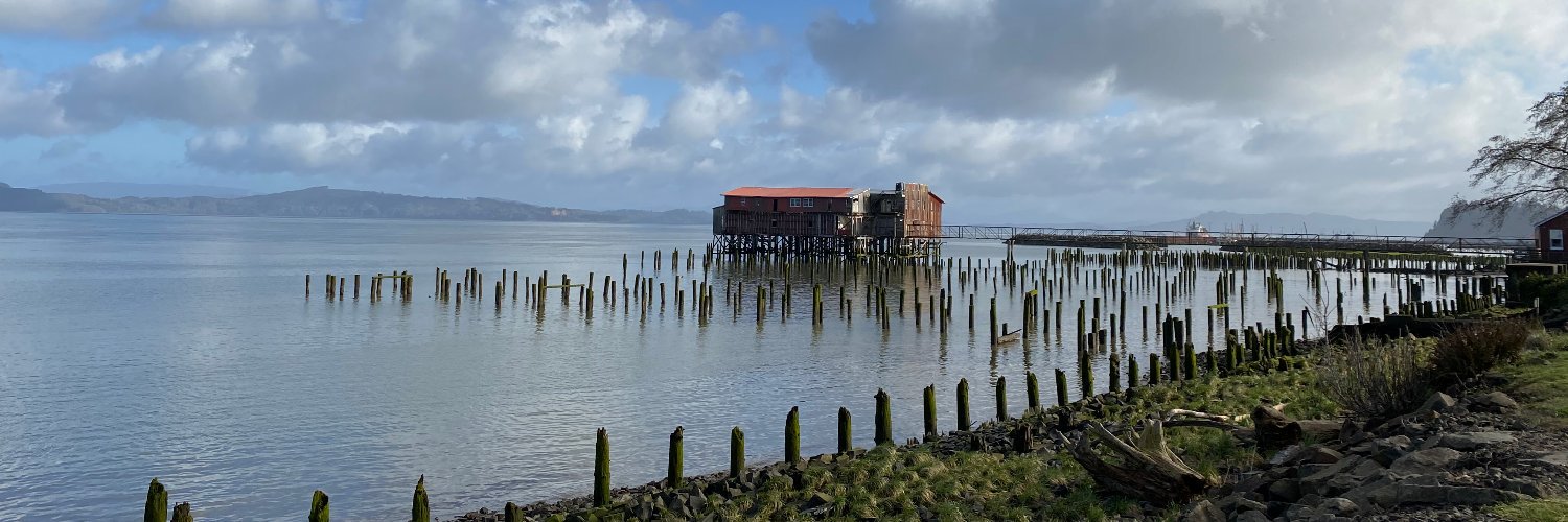 Ryan Fitzpatrick banner