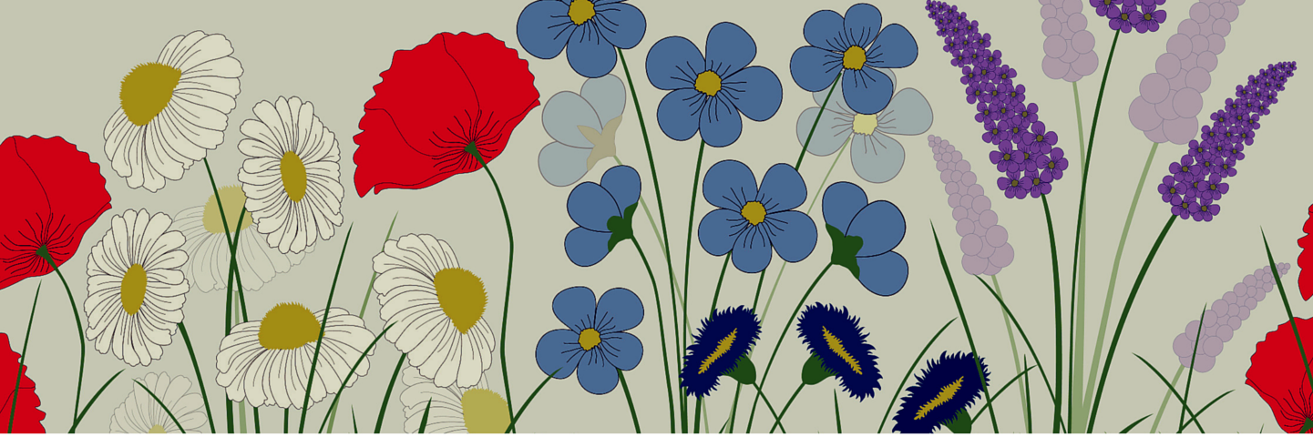 Stephanie_Ewing's profile banner image