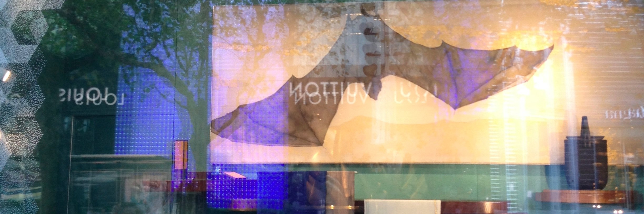 maxvolpe's profile banner image