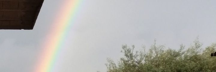 Level_6_Asecas's profile banner image