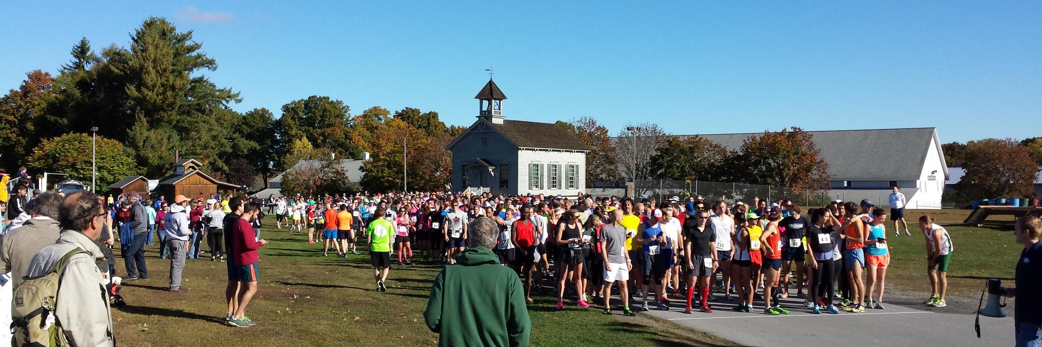 fallfoliagehalf banner