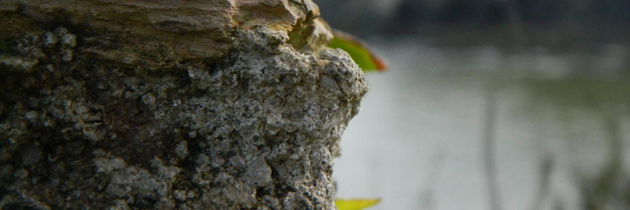 jellyoncourse's profile banner image