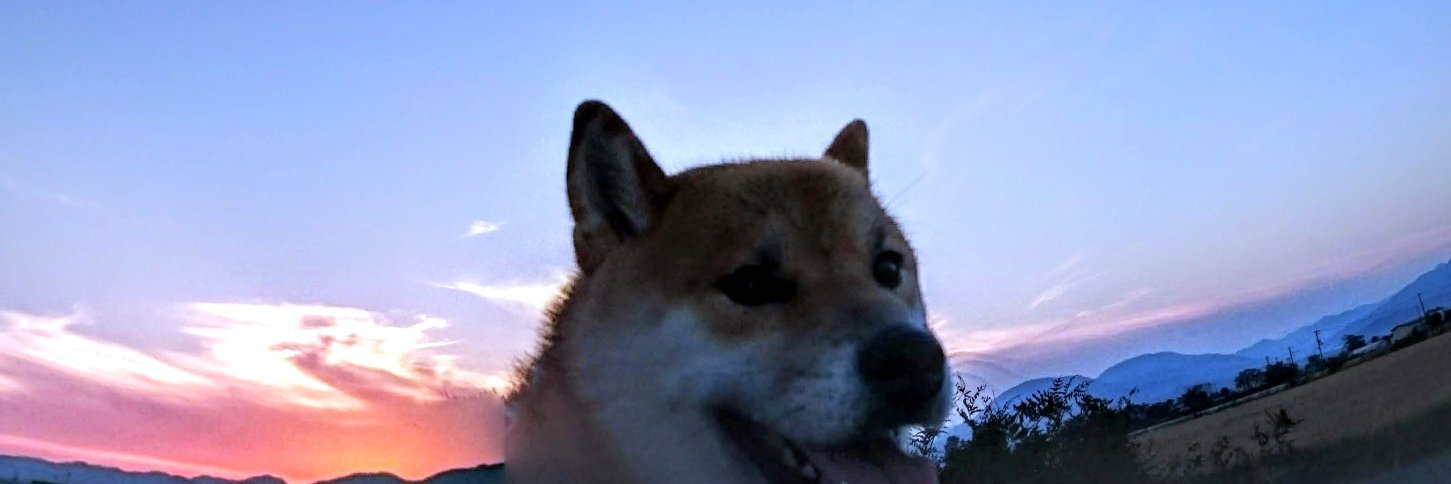 hypertetu's profile banner image
