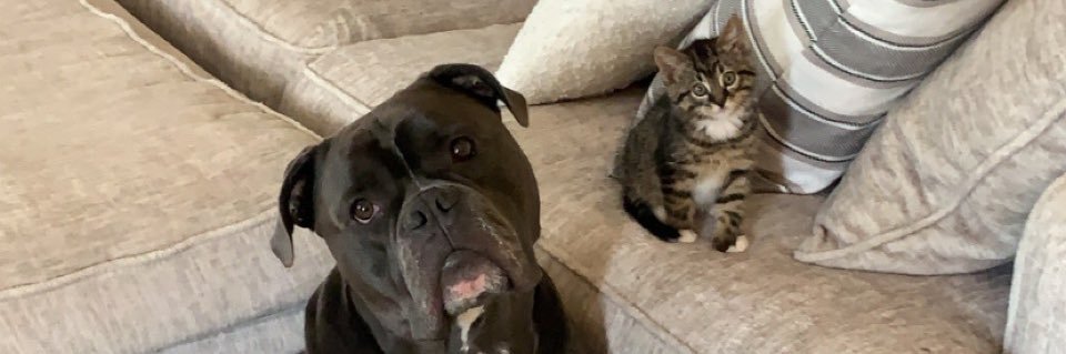 tayann4's profile banner image
