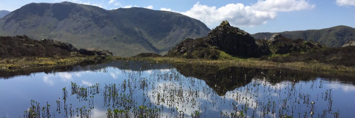 scouser_nick's profile banner image