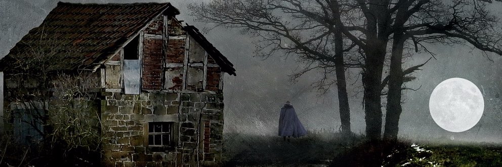 Moira Gillen banner